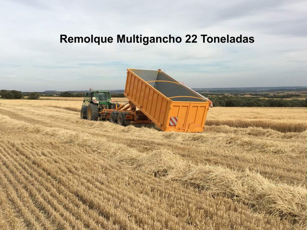 Multigancho rigual 22 toneladas