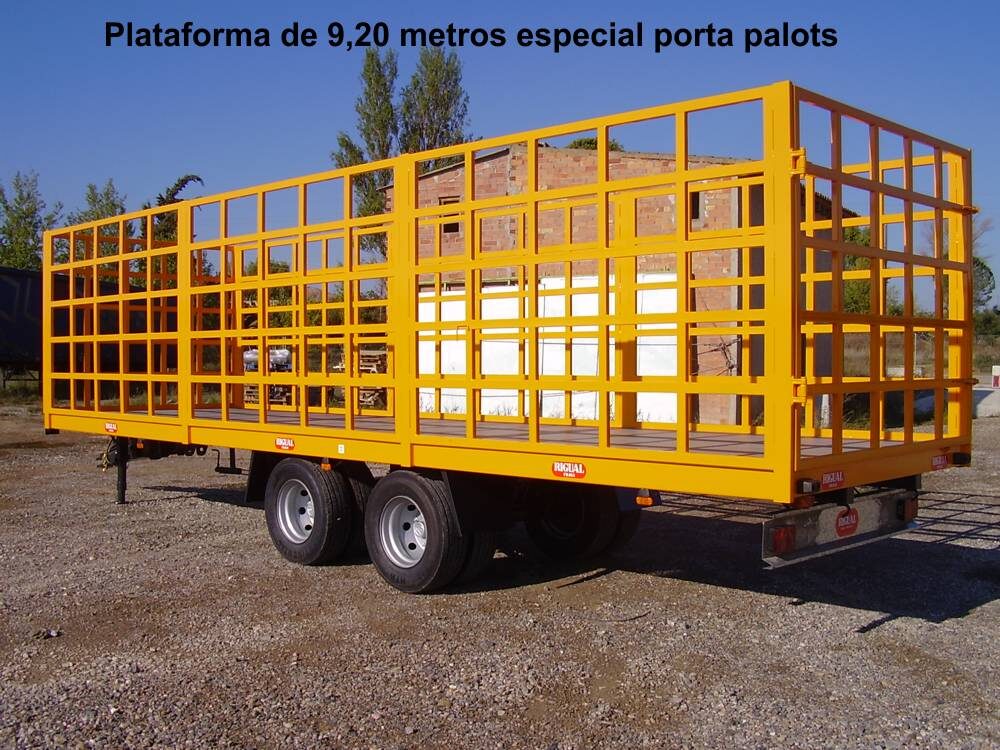 Plataforma rigual 9.20 metros porta palots