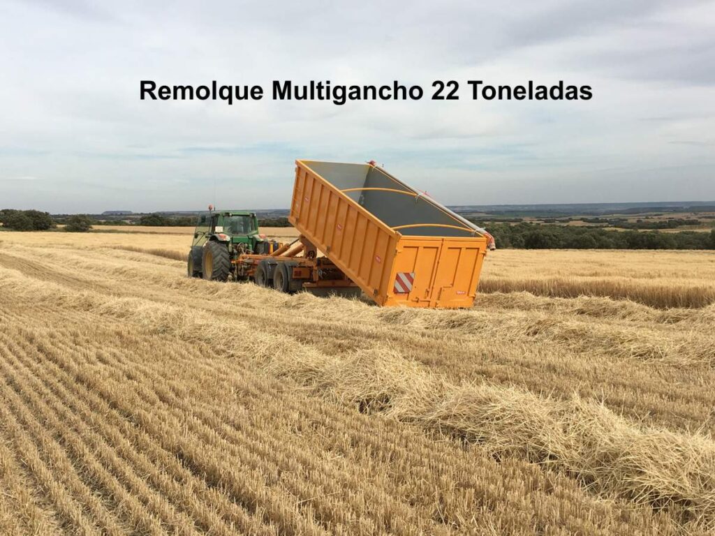 Multigancho rigual 22 toneladas